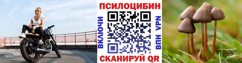 Псилоцибиновые грибы мицелий  мега маркетплейс  Яхрома 